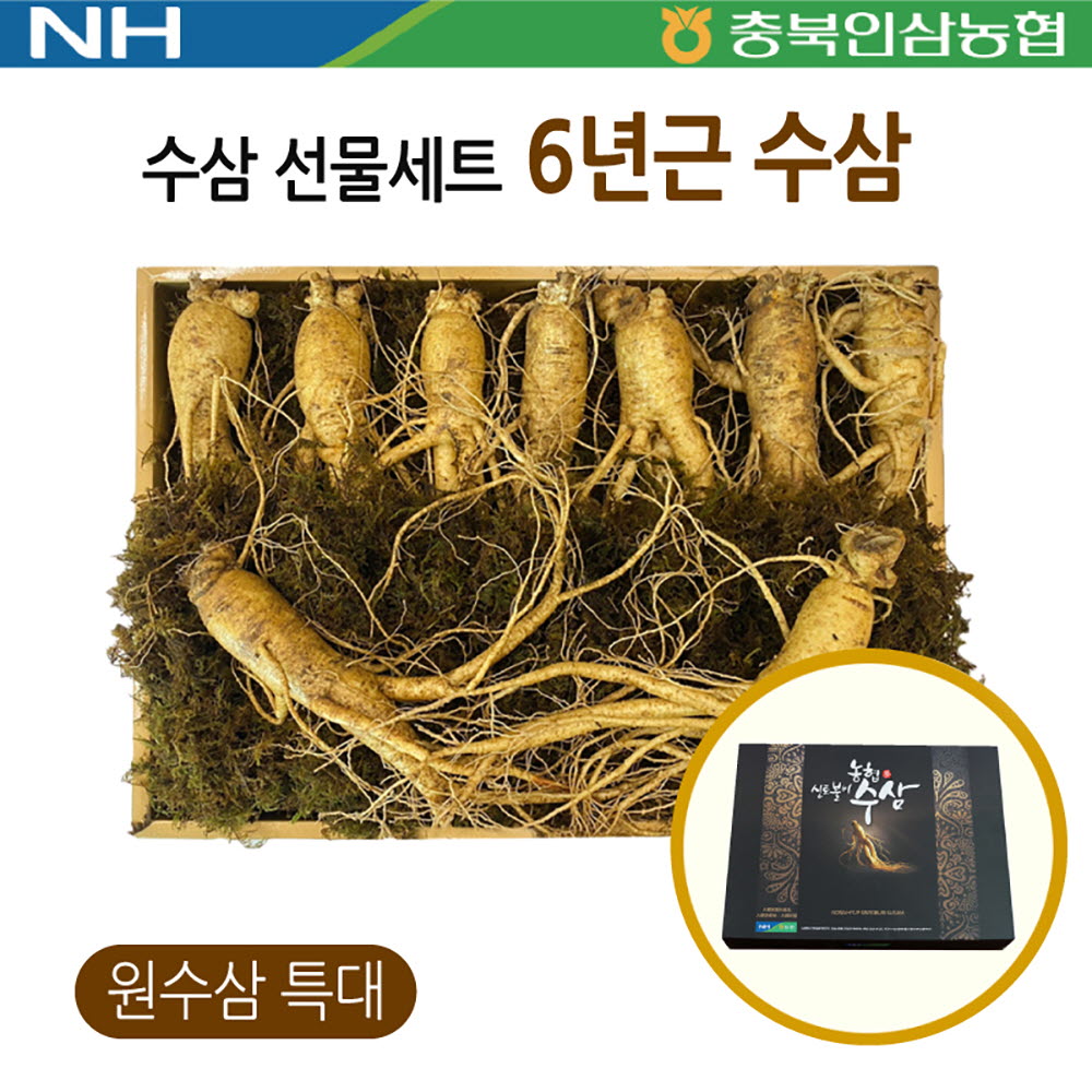 충북인삼농협 수삼 선물세트 (원수삼 특대 9~10뿌리)