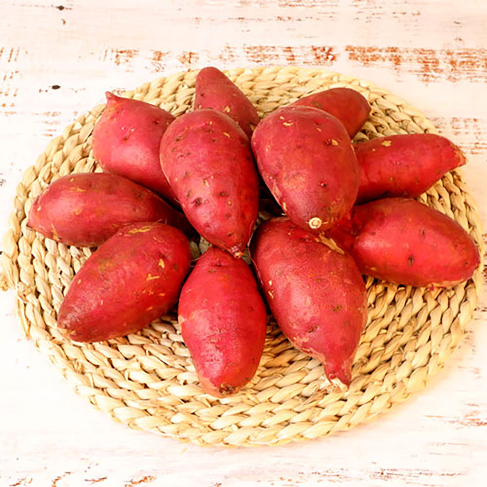 2022 해남특품꿀고구마 한입 3kg