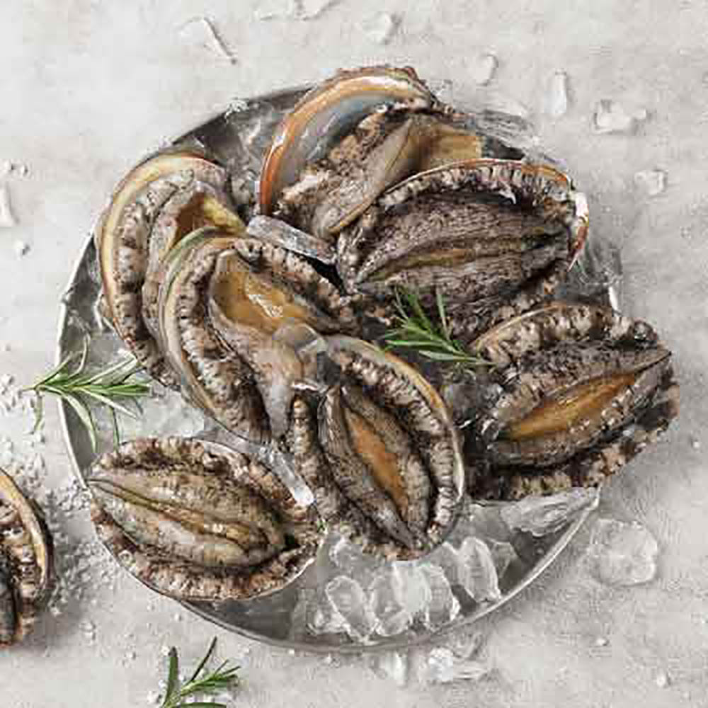 명품 완도활전복 특선세트 2호 (1.5kg, 16-18미)