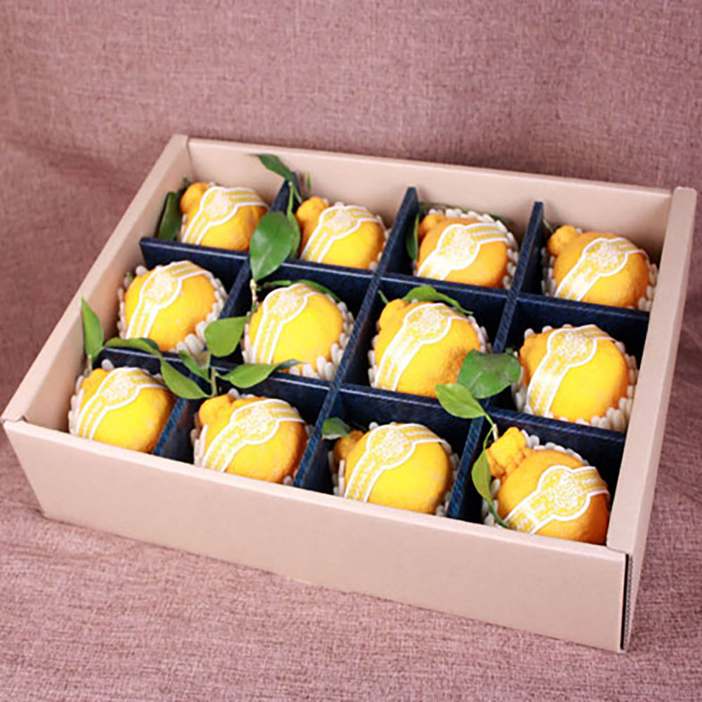 자연지기 명품과일 특선3호 (3.6kg 한라봉)