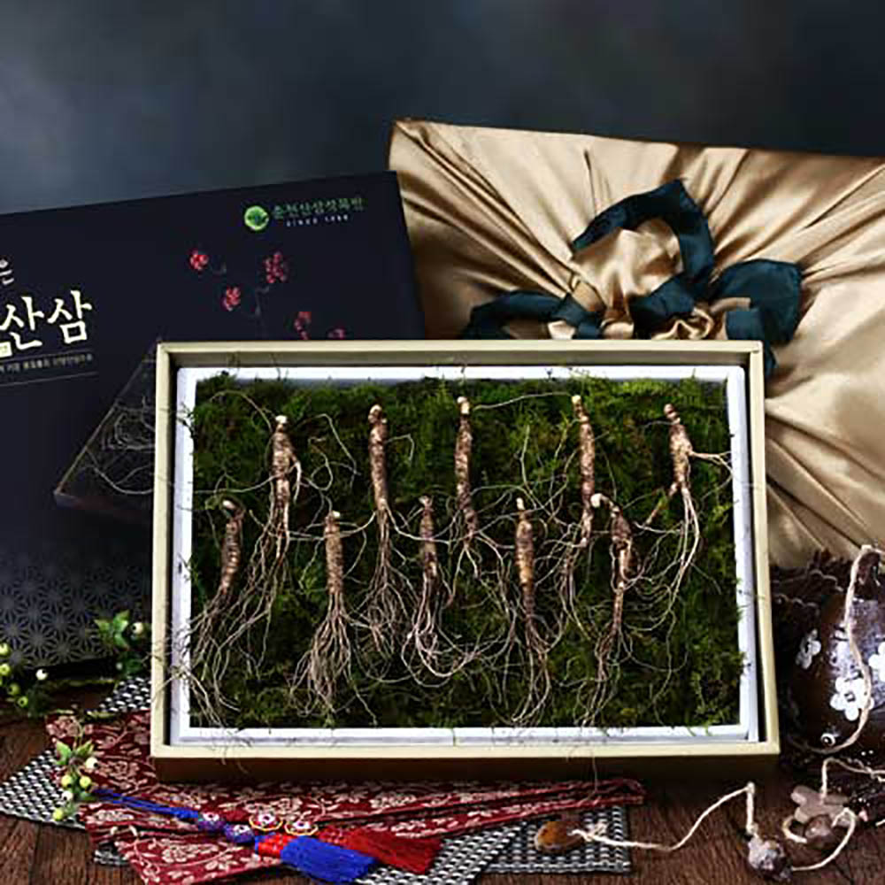 자연지기 산양산삼 8호 (7년근10뿌리)