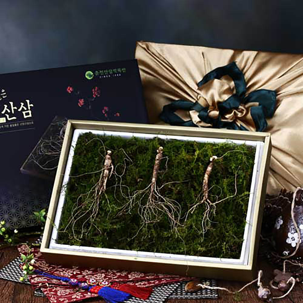 자연지기 산양산삼 9호 (8년근3뿌리)