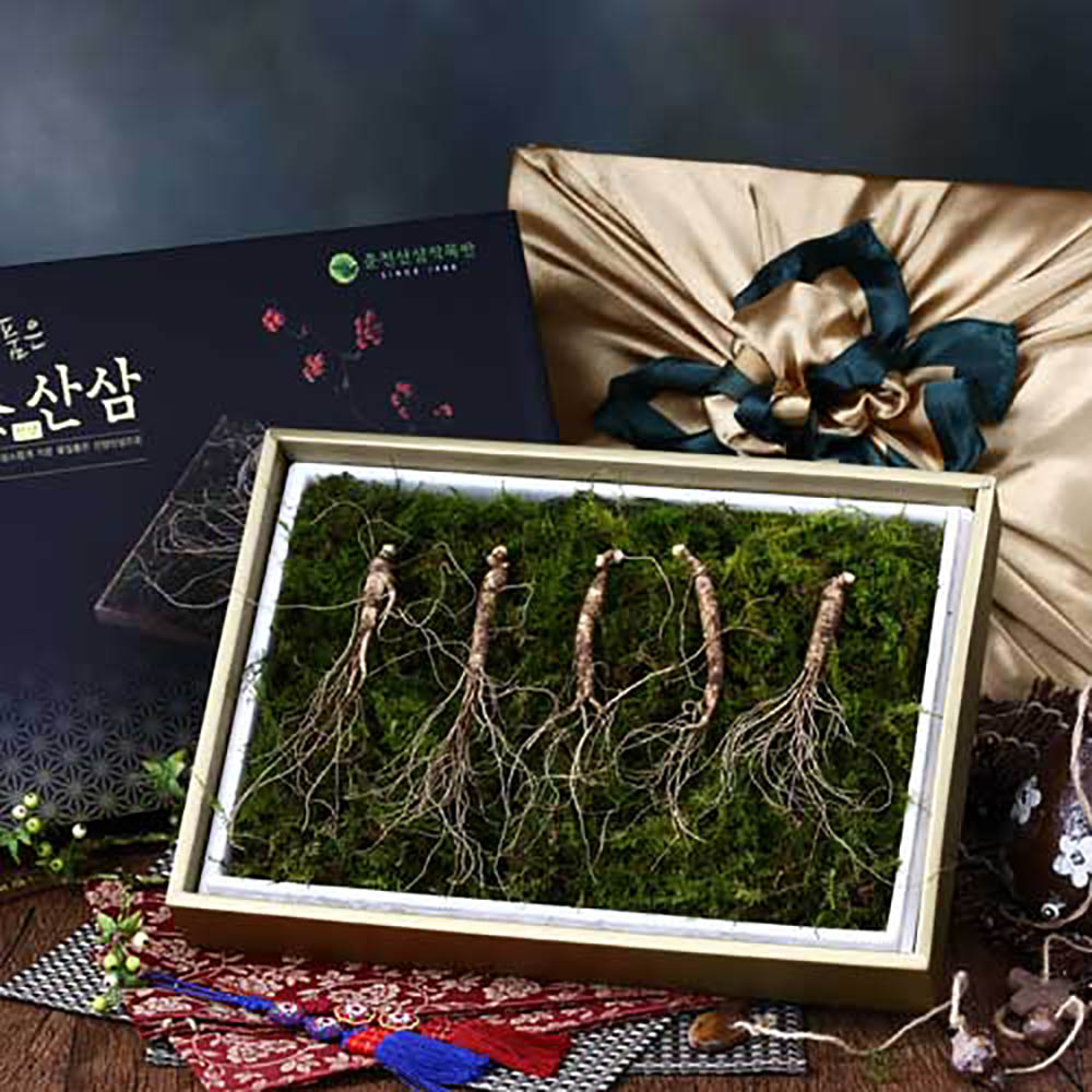 자연지기 산양산삼 10호 (8년근5뿌리)