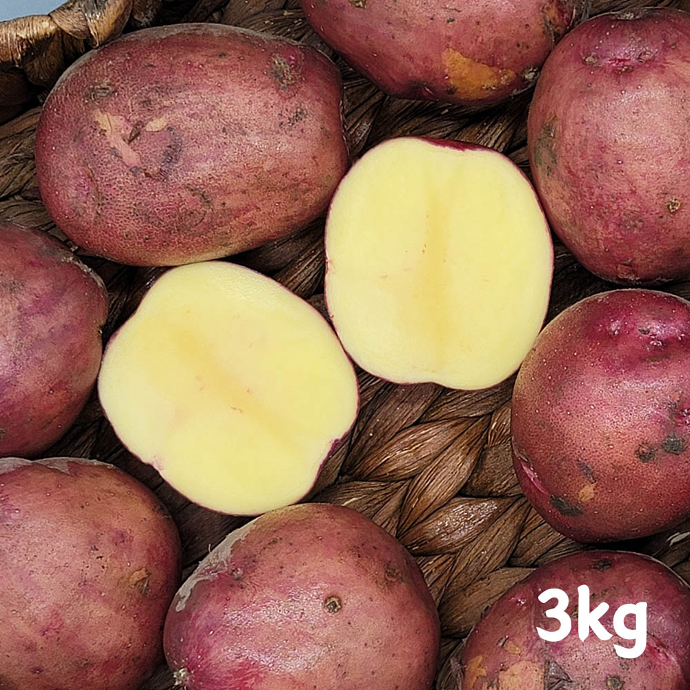 23년 수확 햇 홍감자 3kg(특/왕특 혼합)