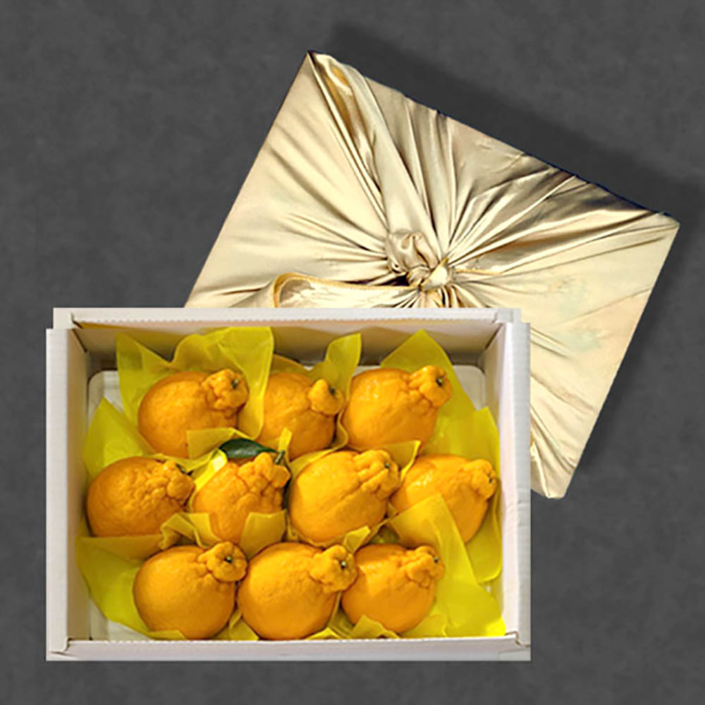 [보자기포장+감사문구동봉] 한라봉 3kg(9~13과)