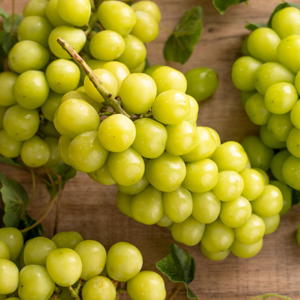 초아농원 샤인머스캣 포도 2kg 가정용 3-5수
