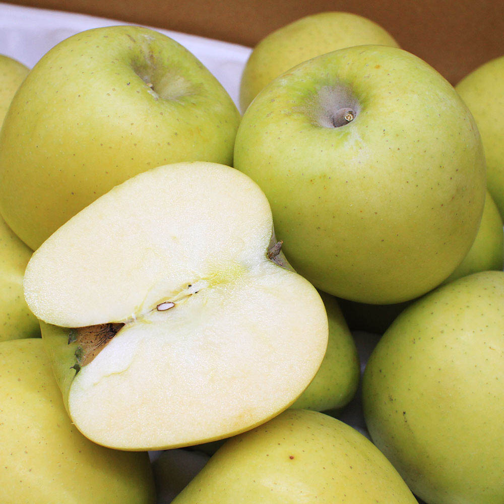 시나노골드 황금사과 산지직송 가정용 5kg / 중과 18-22과