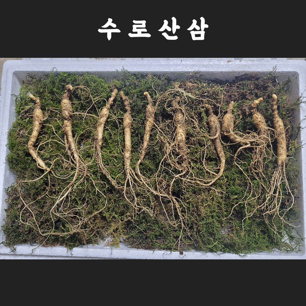 수로산삼 산양산삼 6~7년근 정삼(무농약합격증) 10뿌리