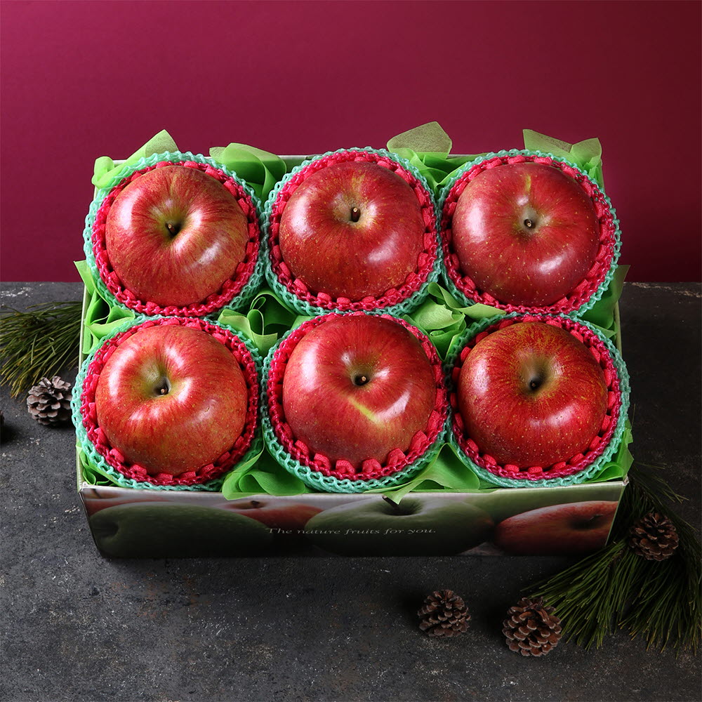 [썬리치] 한손애 사과