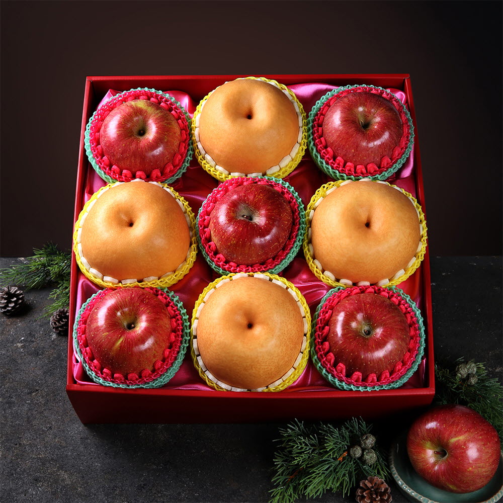 [썬리치] 해맞이 2호