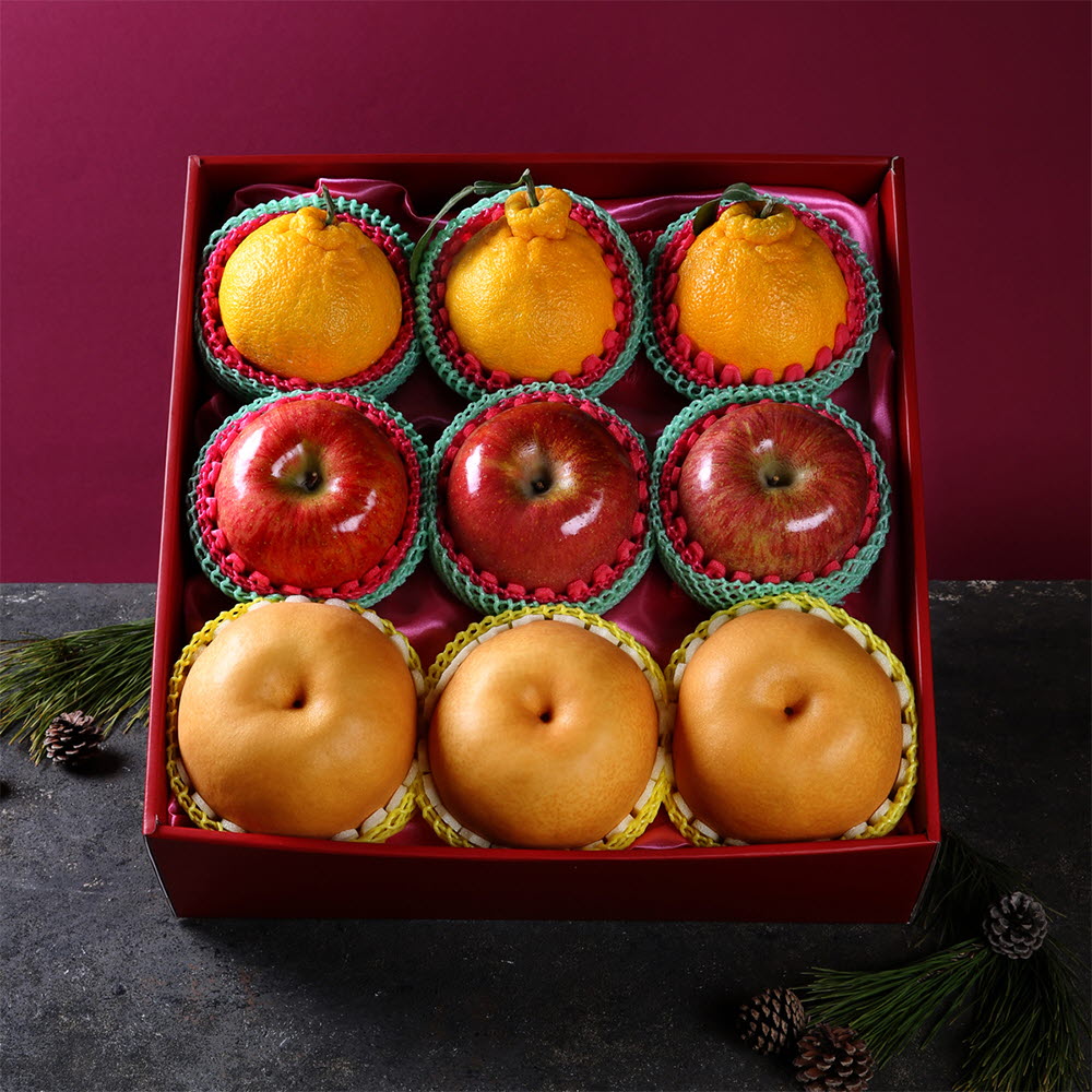 [썬리치] 해맞이 사과배 한라봉 세트