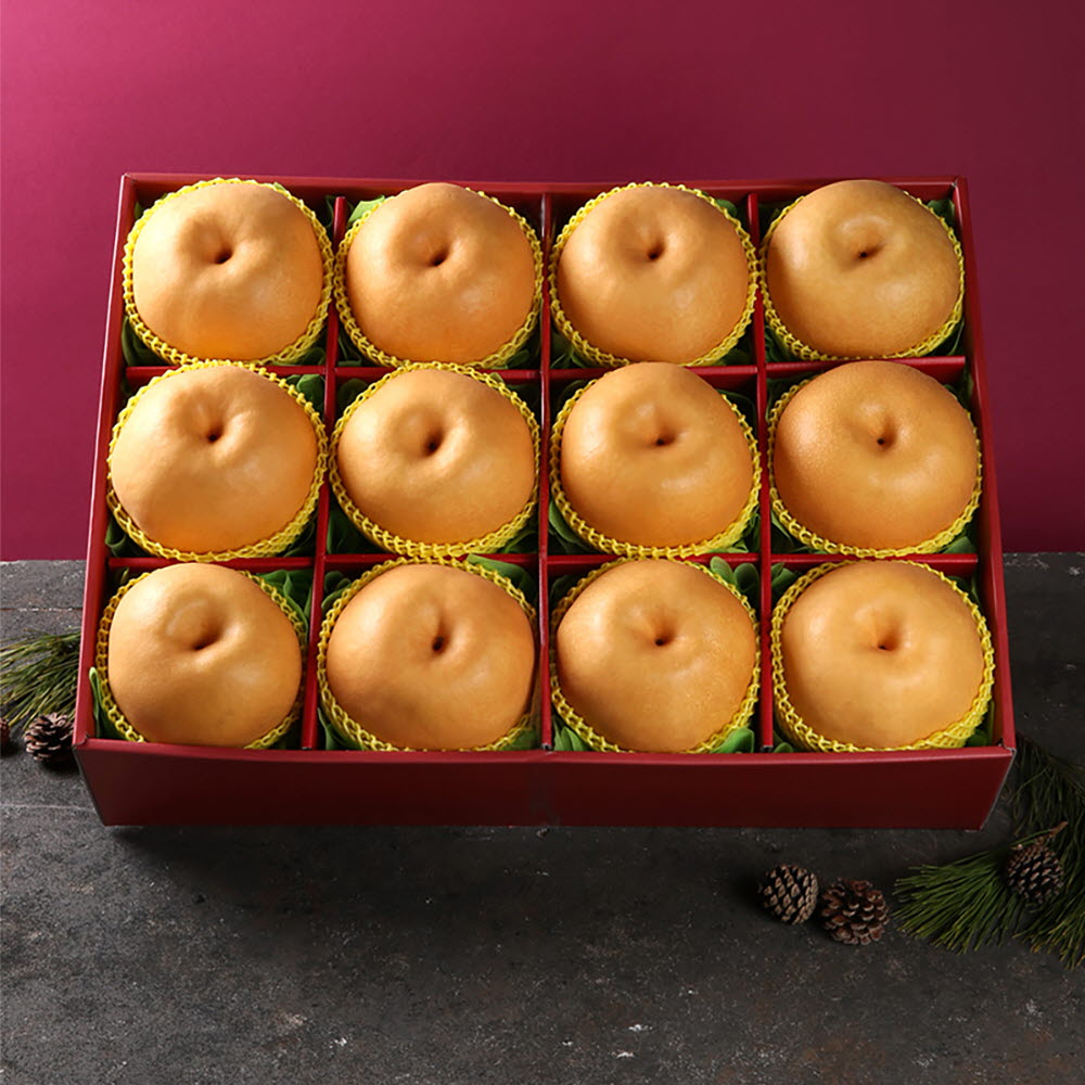 [썬리치] 사각사각 배세트