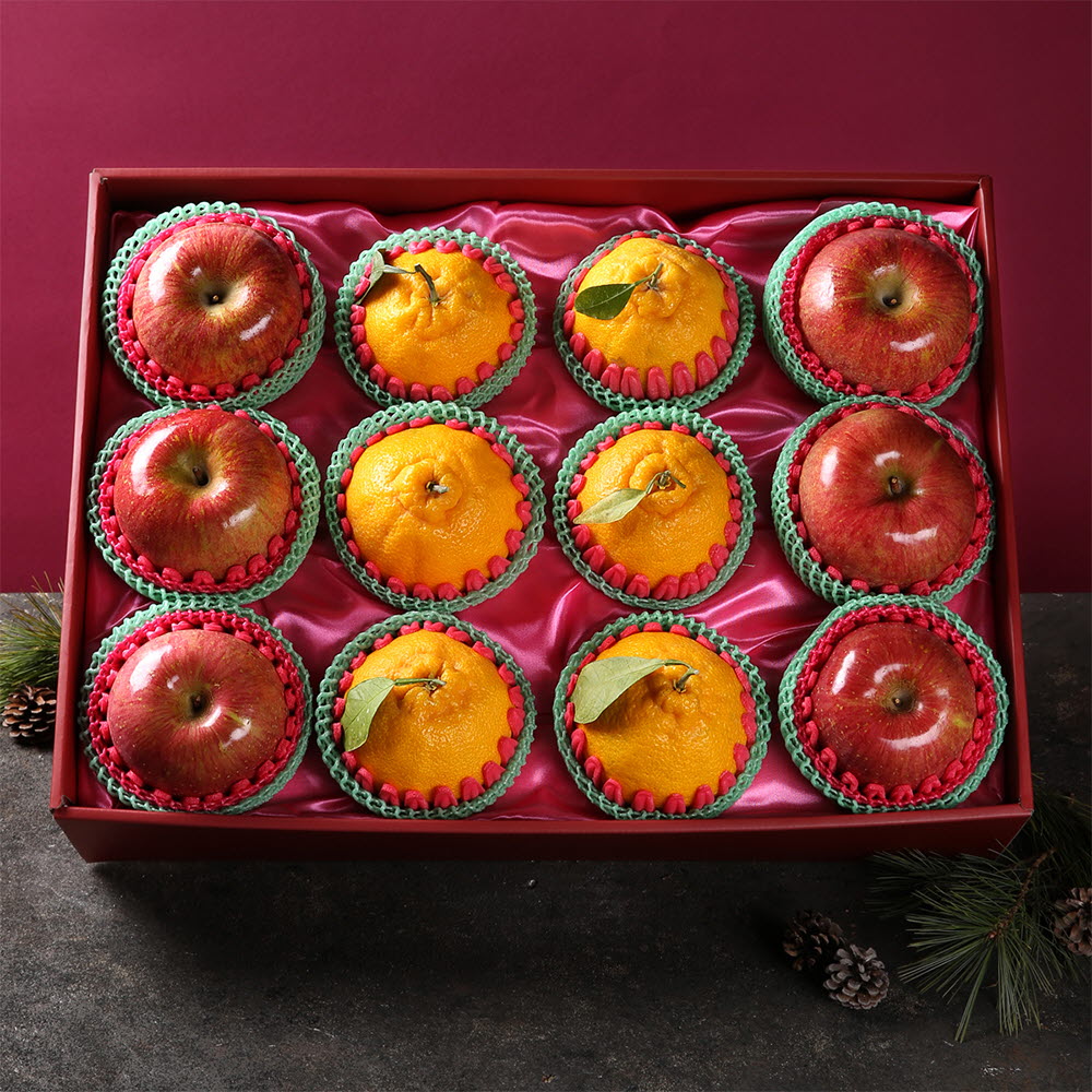 [썬리치] 사각사각 사과한라봉 세트