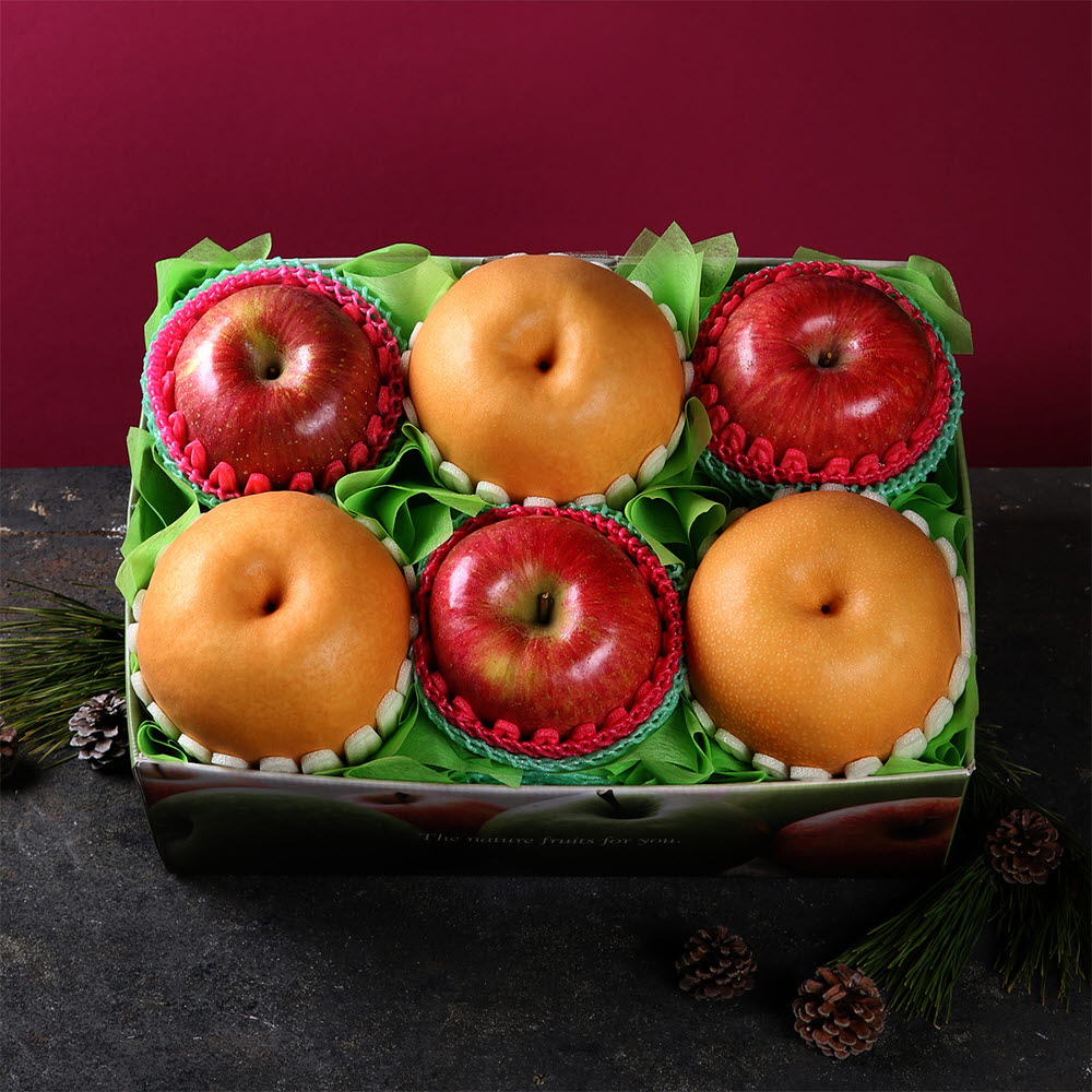 [썬리치] 한손애 사과배