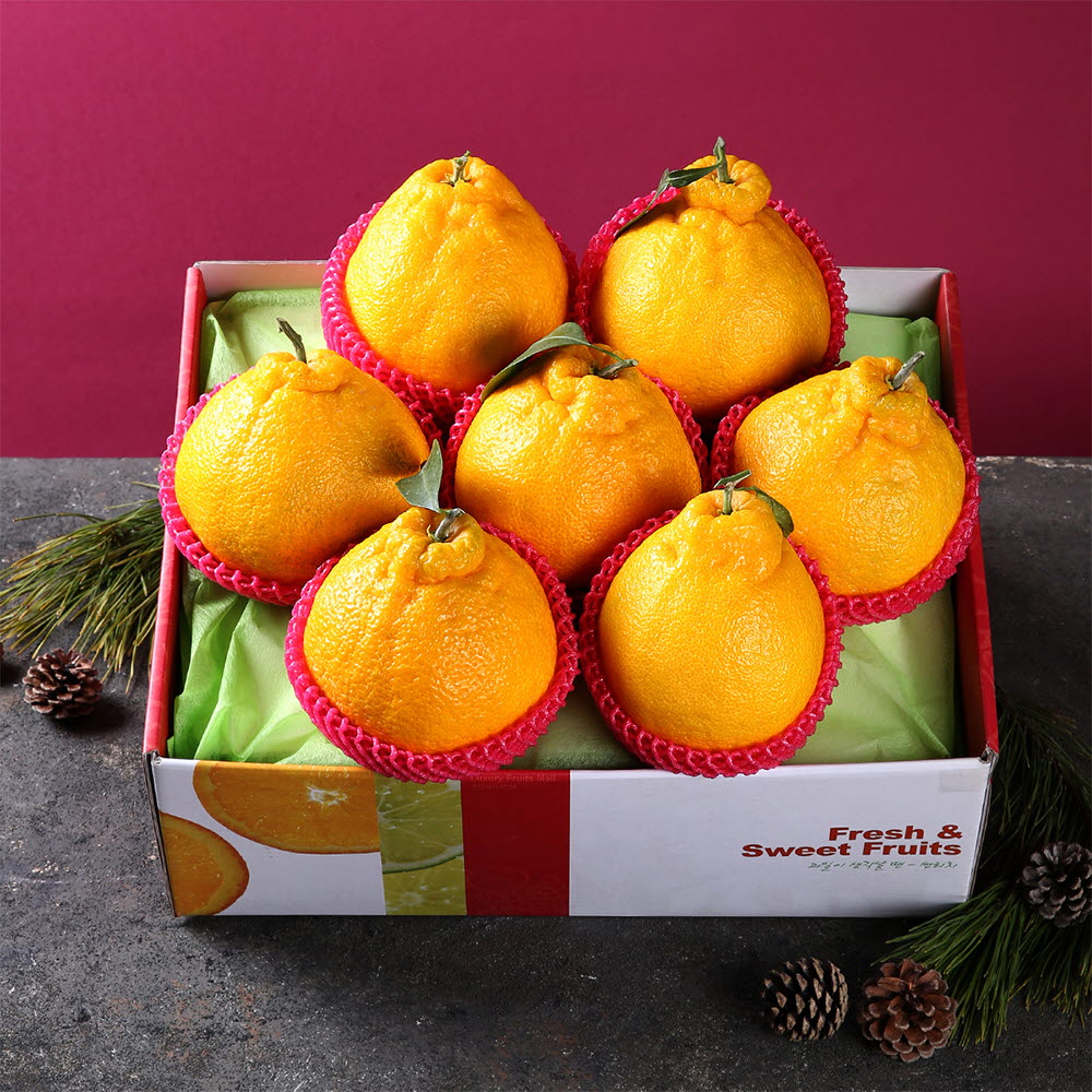 [썬리치] 한라봉 7~10이내/ 2kg