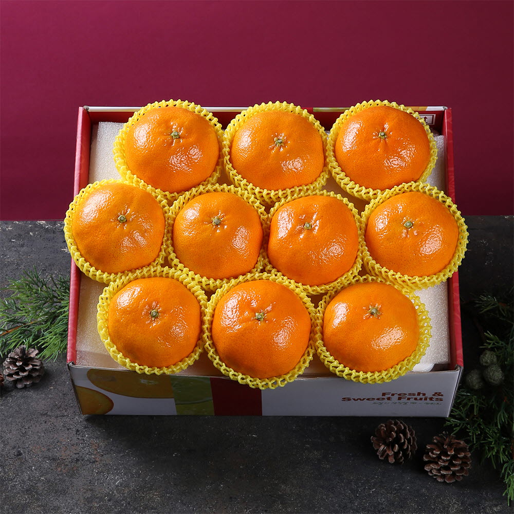 [썬리치] 레드향 2kg