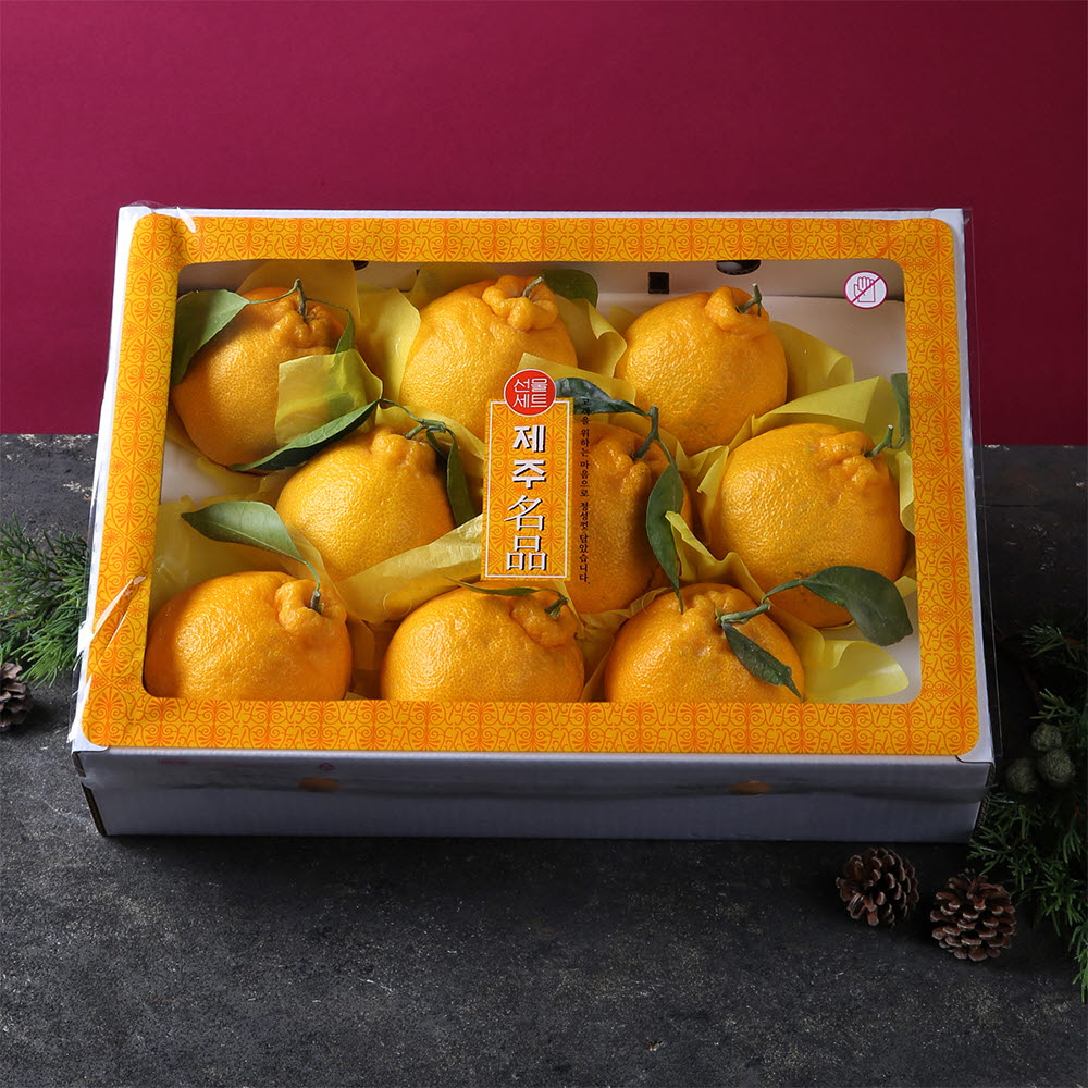 [썬리치] 한라봉 3kg