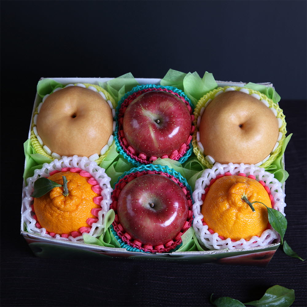 [썬리치] 한손애 사과배 한라봉