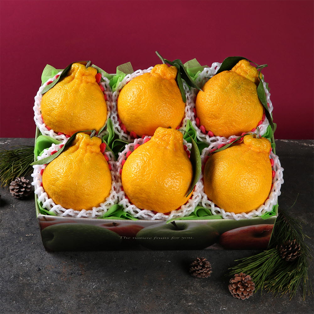 [썬리치] 한손애 한라봉