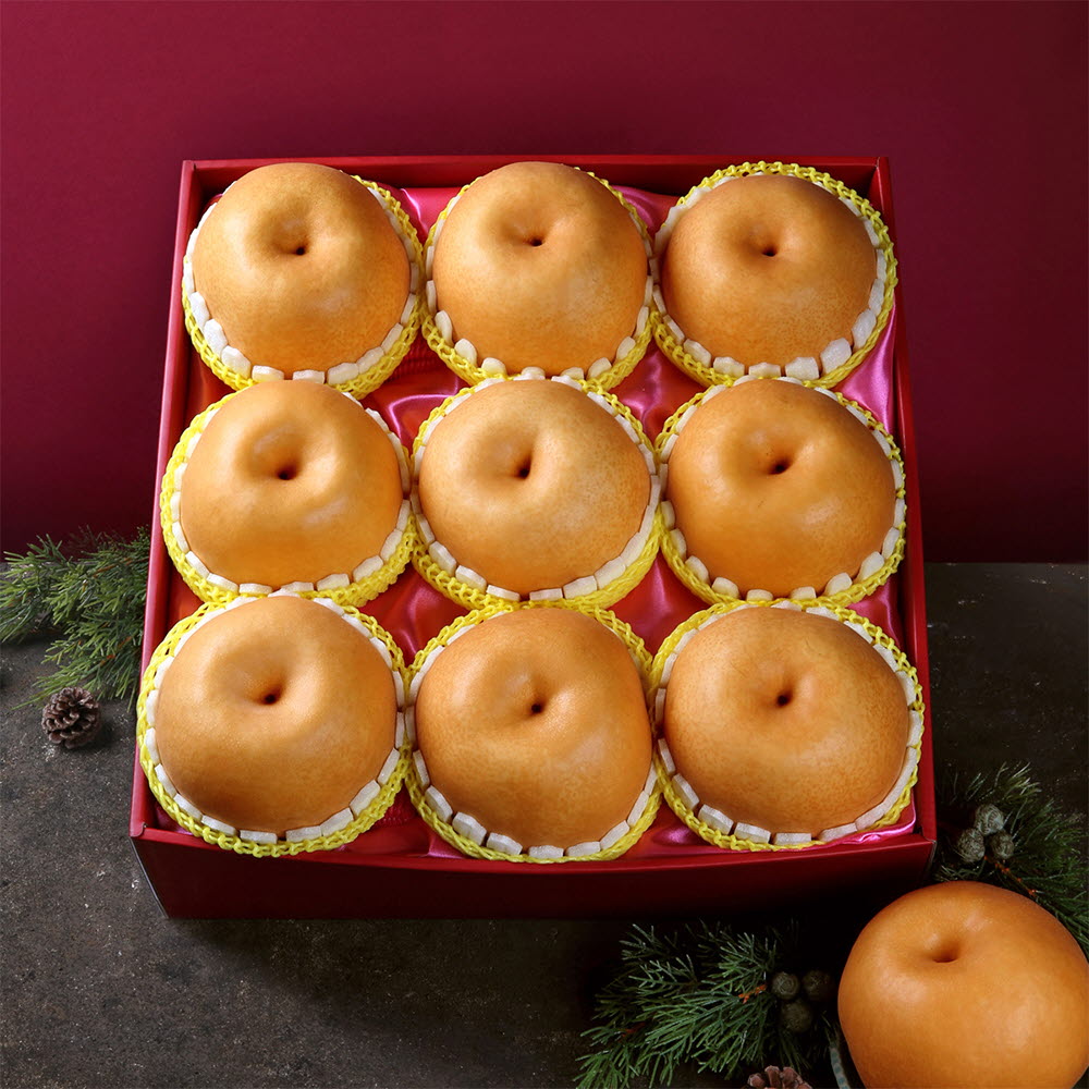 [썬리치] 해맞이 배세트