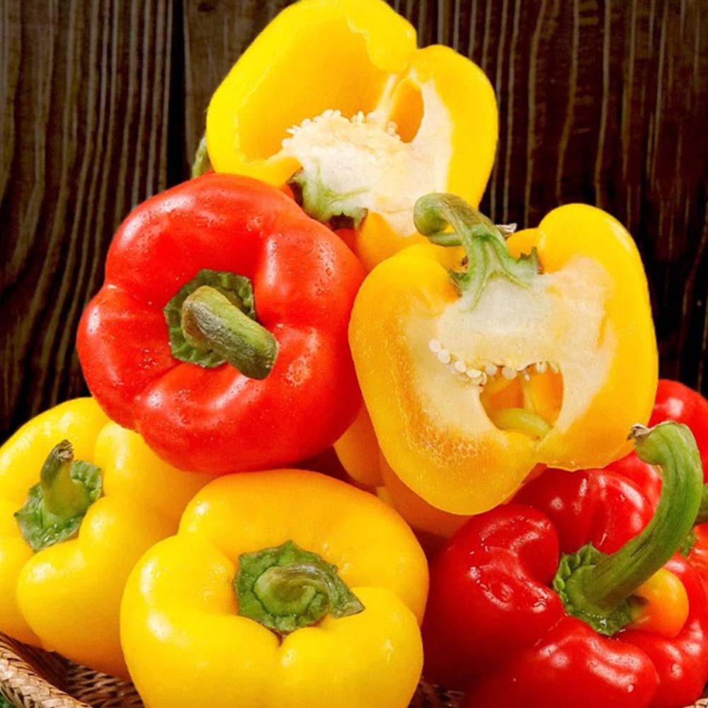 로얄 사이즈 특상 햇 파프리카 4.5kg (혼합색상)