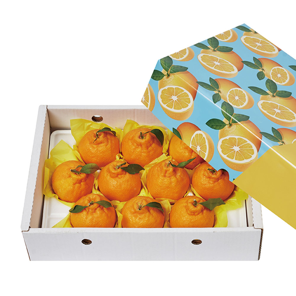 아이엠 제주섬곳간 한라봉 3kg 9~14과