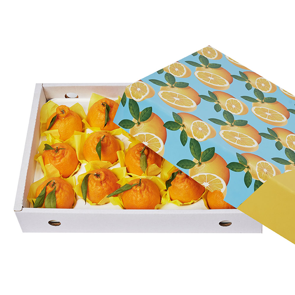 아이엠 제주섬곳간 한라봉 5kg 13~20과