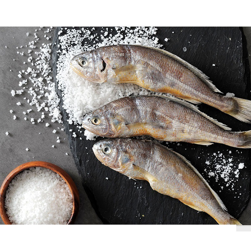 [법성포 영광] 가정용왕장대(20미) 20-22cm/2.05kg 이상