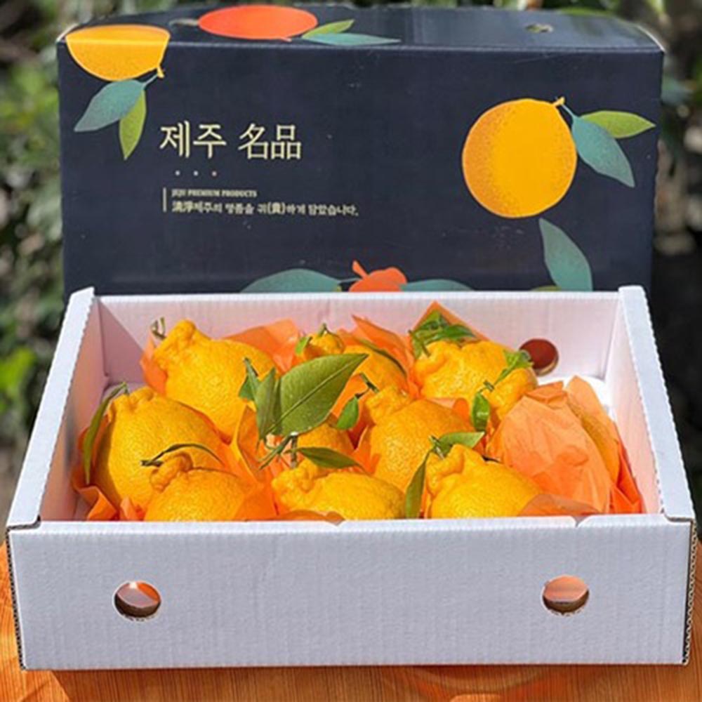 [돌담농장] 제주 초고당도 한라봉 (선물박스) 3kg