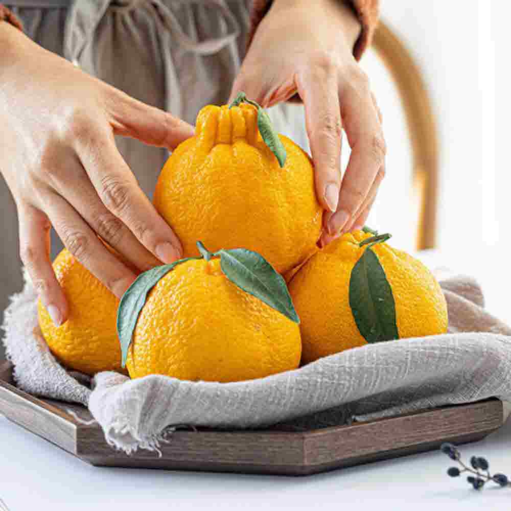 제주 노지 상품과 한라봉 3kg(중대과)