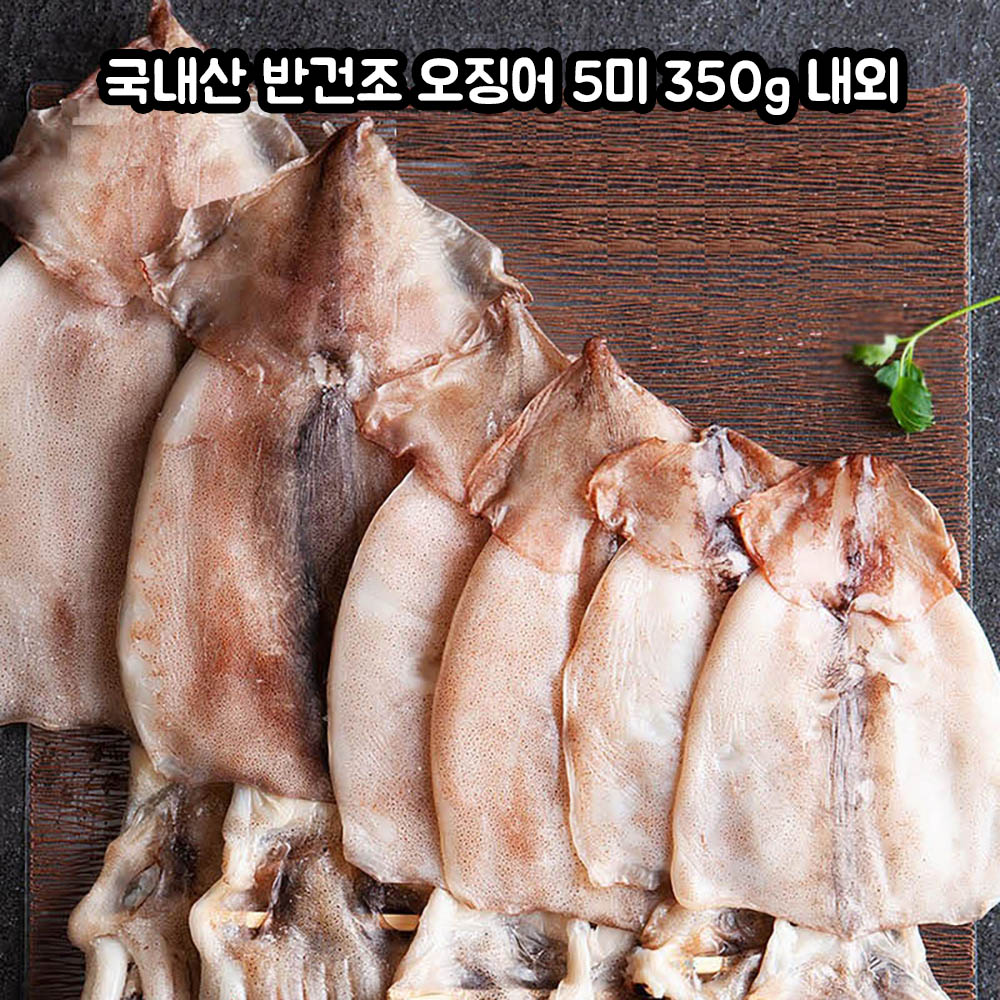 구룡포 국내산 반건조 오징어 5미 350g 내외