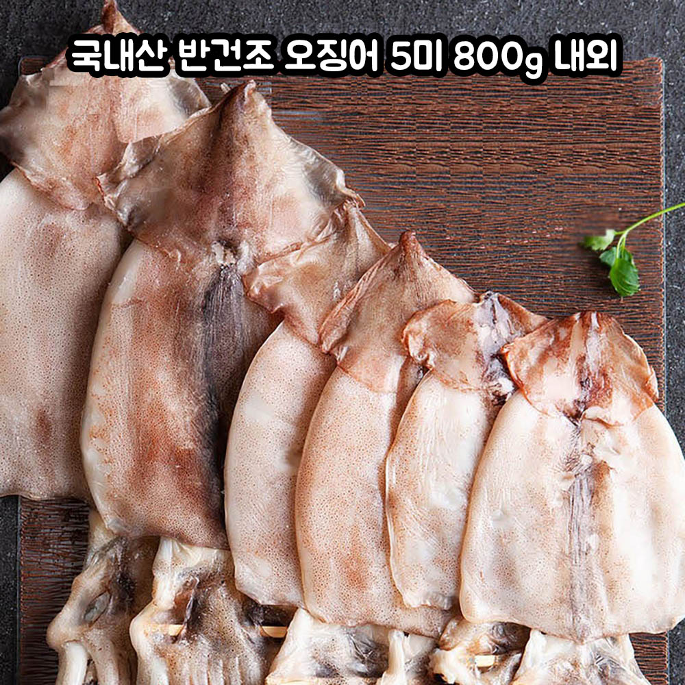 구룡포 국내산 반건조 오징어 5미 800g 내외