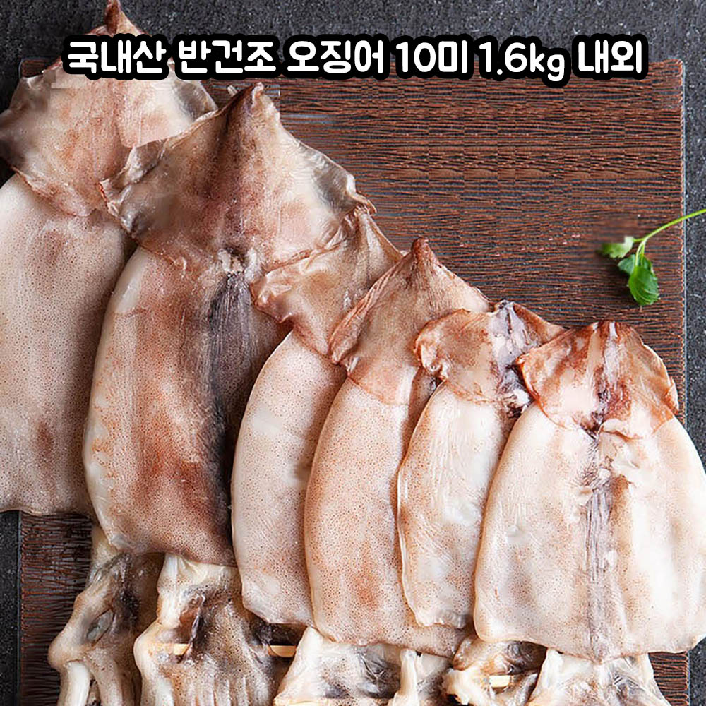 구룡포 국내산 반건조 오징어 10미 1.6kg 내외