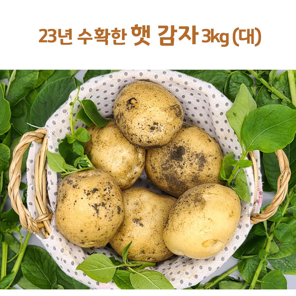 23년 수확한 햇 감자 3kg(대)