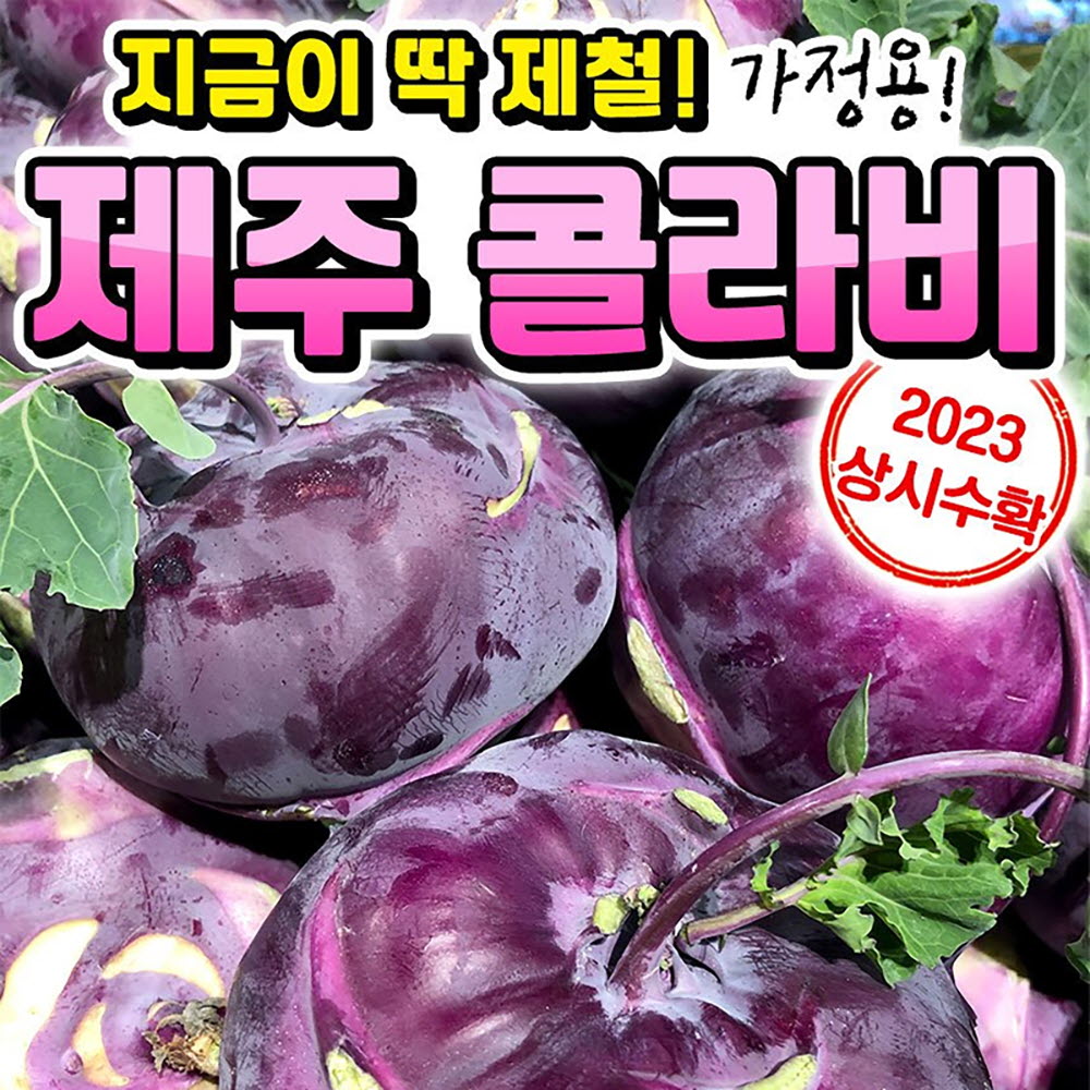 가정용 제주 콜라비 특 10kg