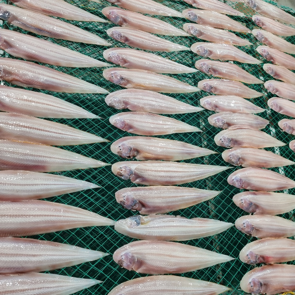 반건조 박대 (29~31cm) 5미 진공