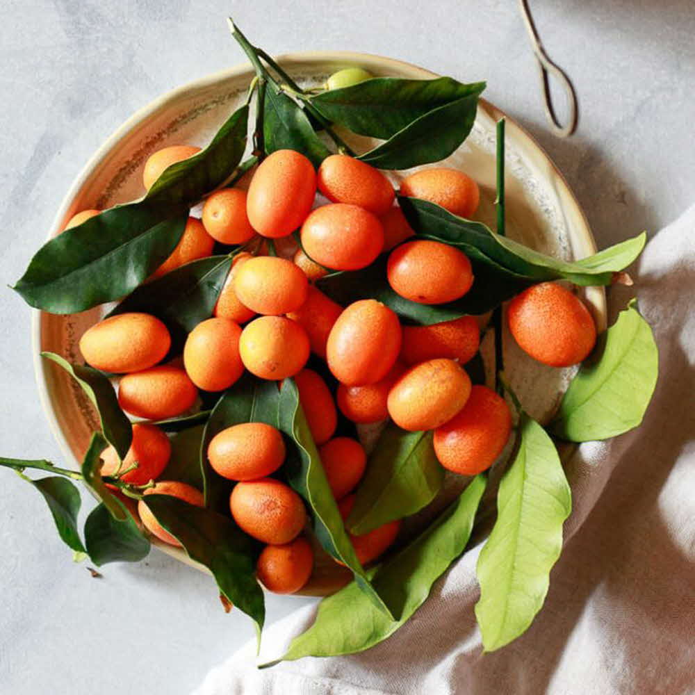 제주 금귤 (낑깡) 500 g X 2팩