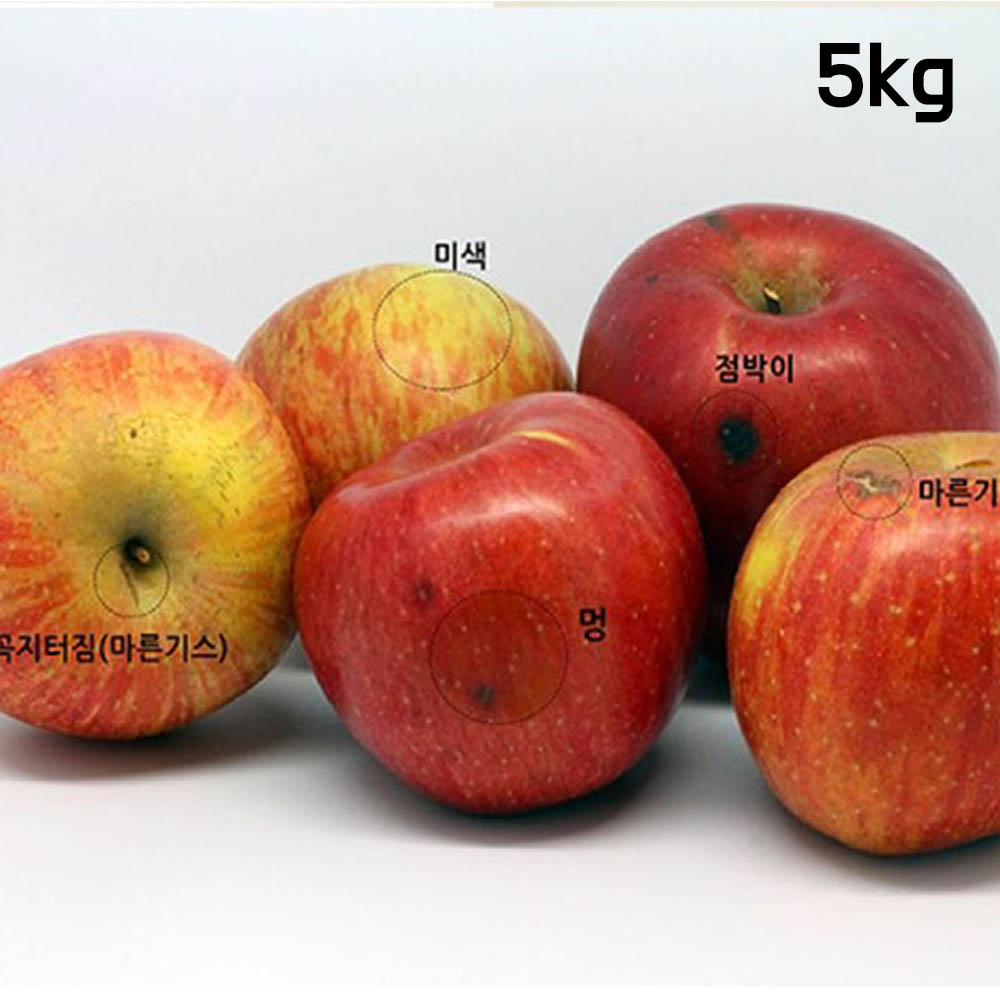 가정용 못난이 흠집 부사 사과 5kg(33~38과 꼬마)