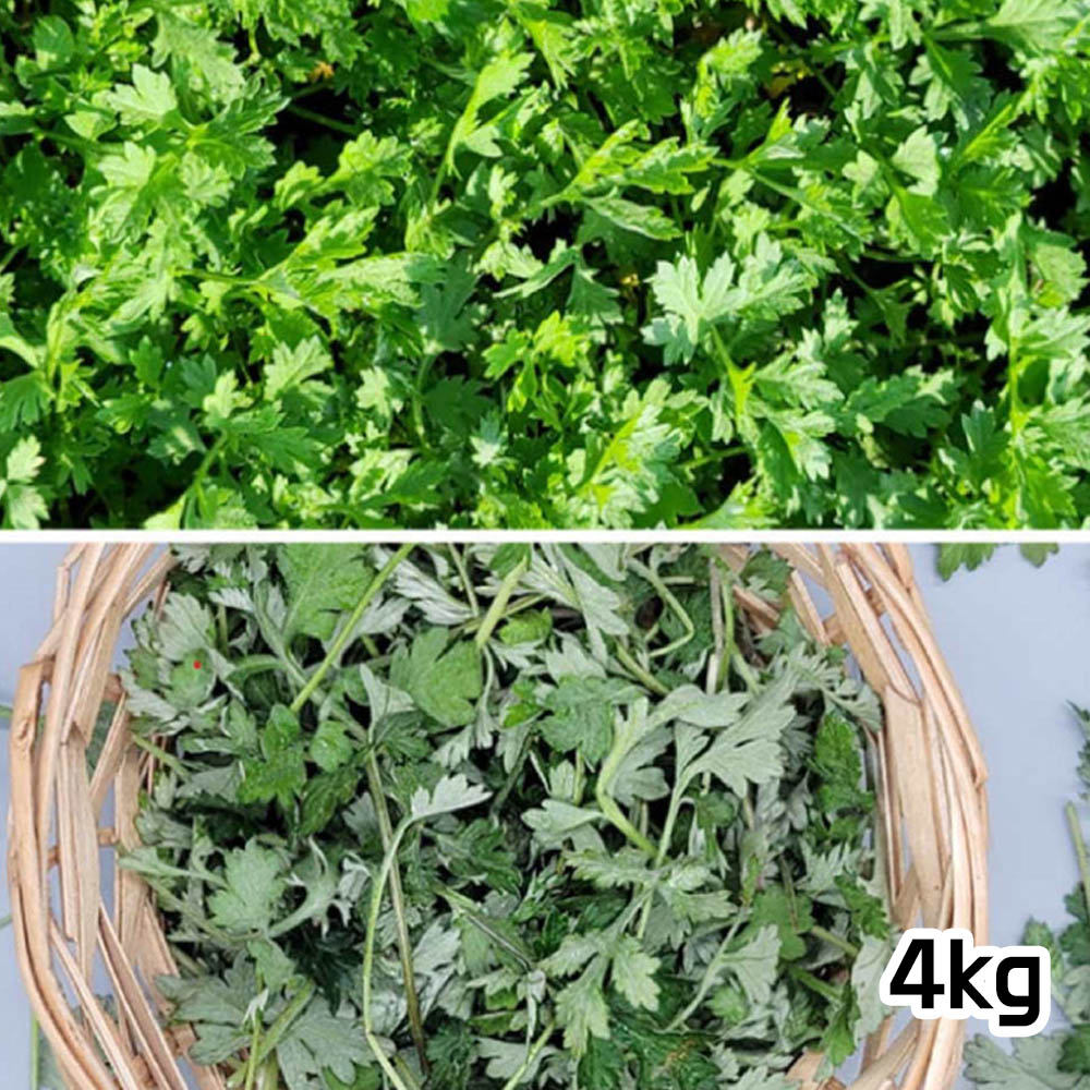 국산 햇 생쑥 4kg
