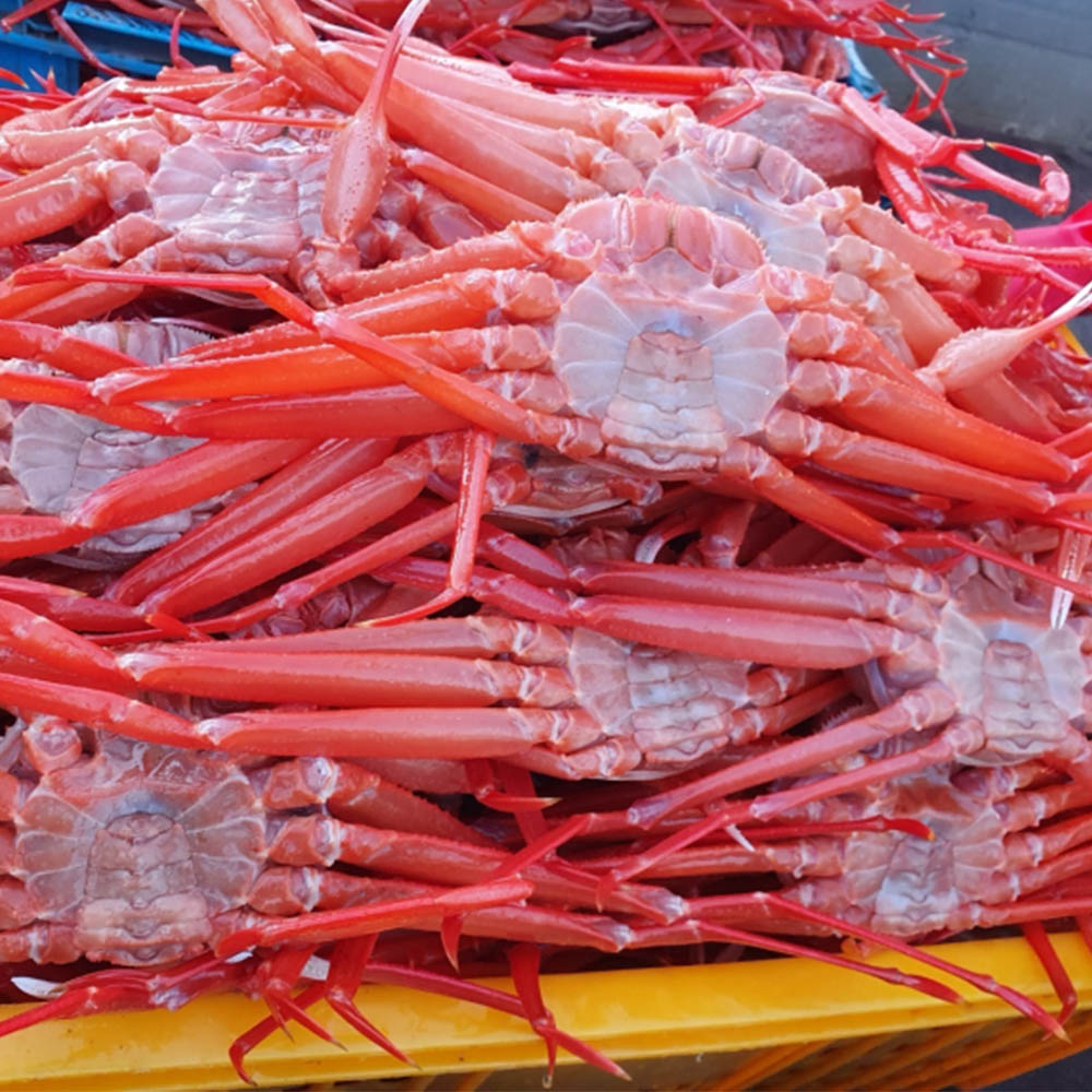 프리미엄 박달 홍게 3.5kg