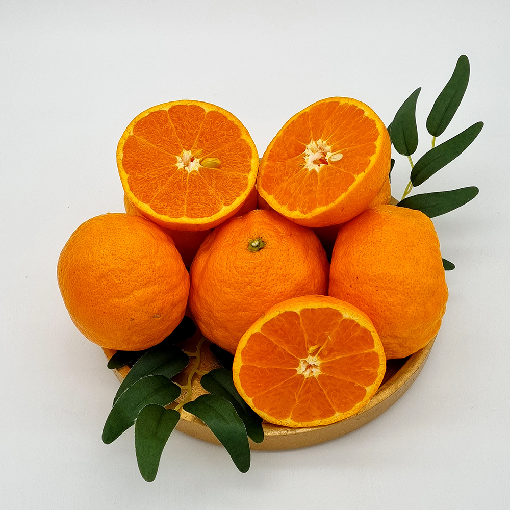 [기간한정할인] 제주 설국향 2kg 랜덤과 (중~소과) /4월3일까지