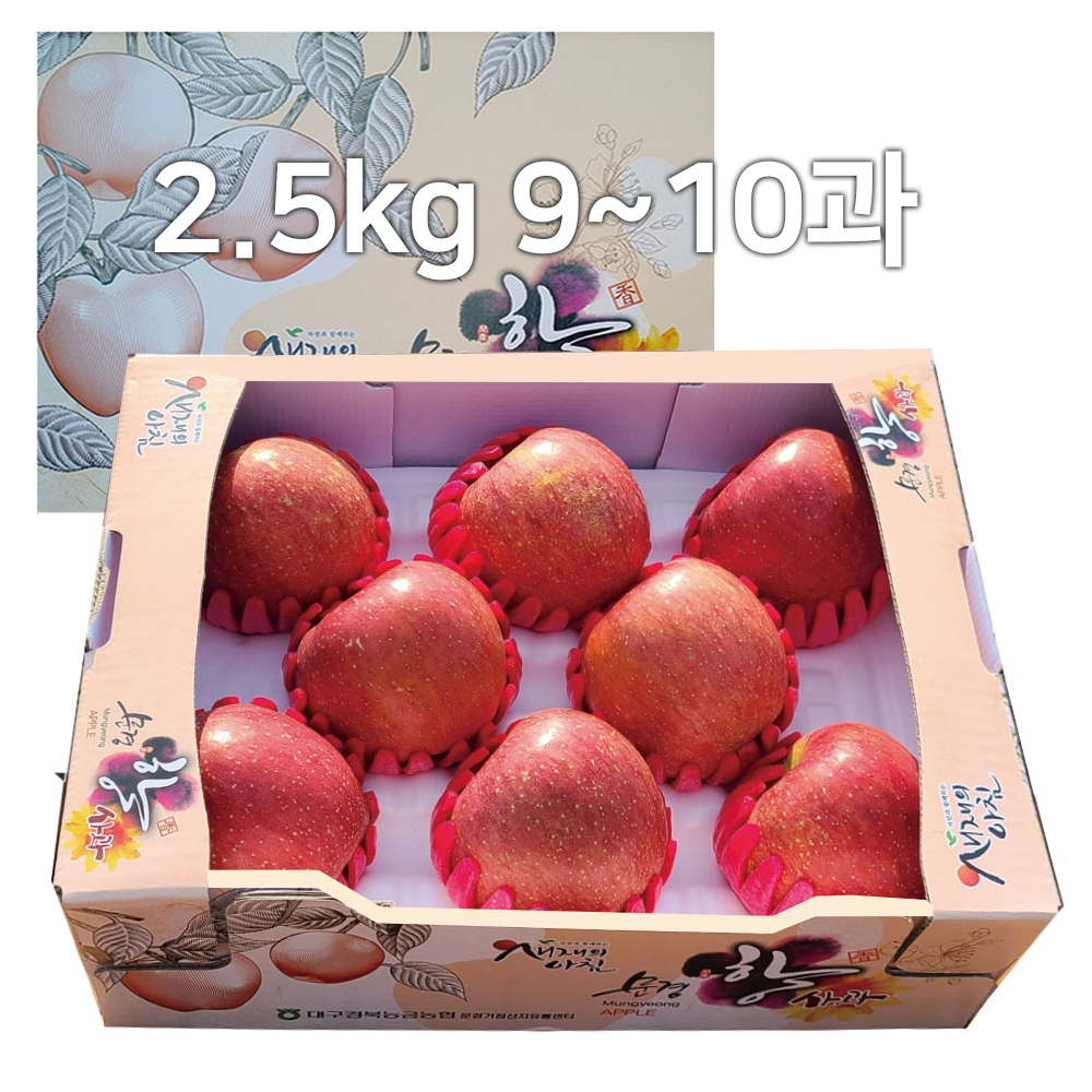 [A19-104] 비파괴선별 껍질째먹는 능금농협 문경사과 2호 2.5kg 9~10과 GAP인증