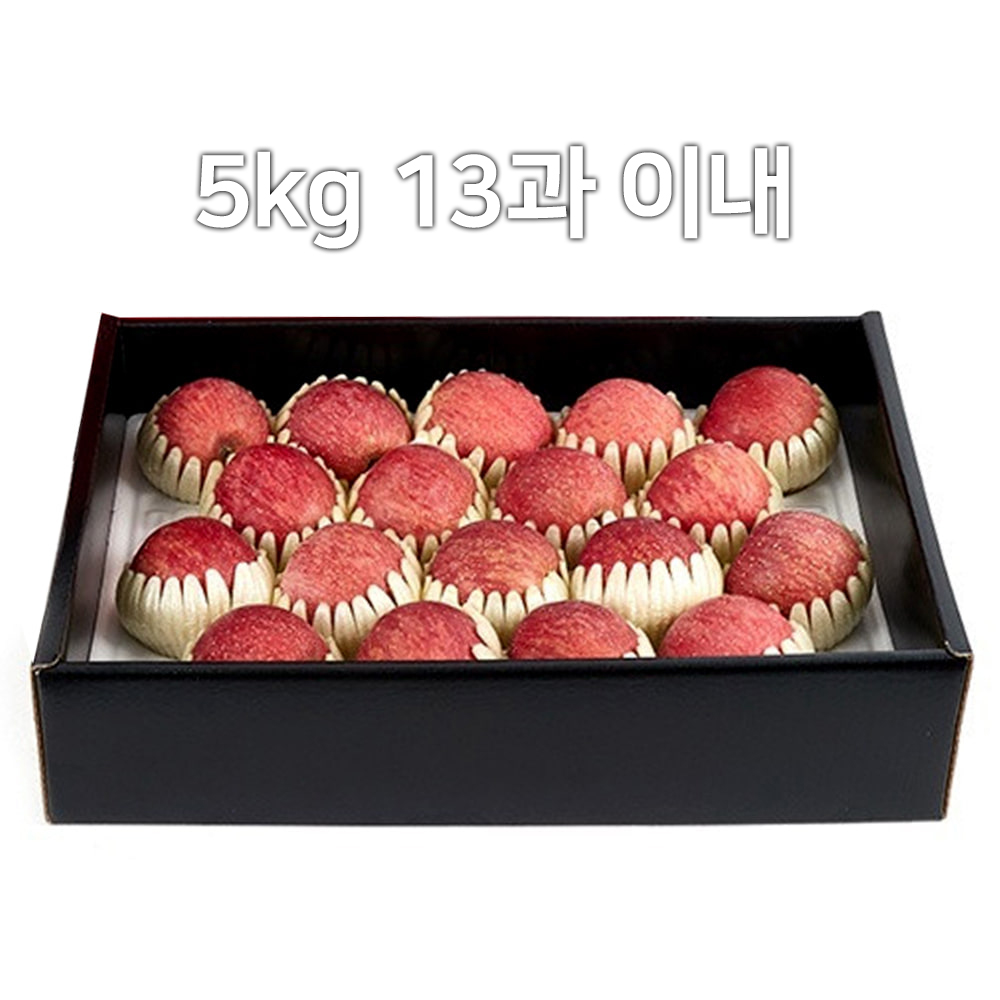 [A19-107] 비파괴선별 껍질째먹는 능금농협 문경사과 5kg 1호 13과 이내 GAP인증