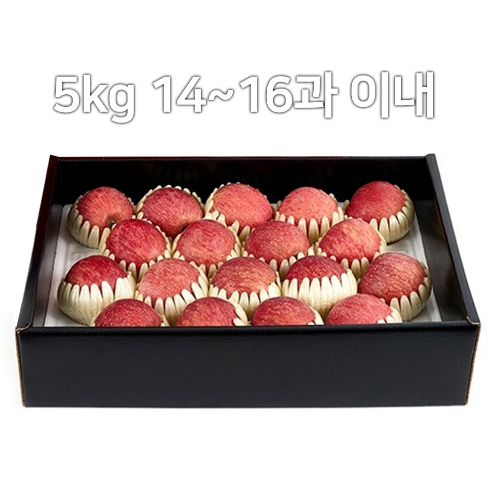 [A19-108] 비파괴선별 껍질째먹는 능금농협 문경사과 5kg 2호 14~16과 이내 GAP인증