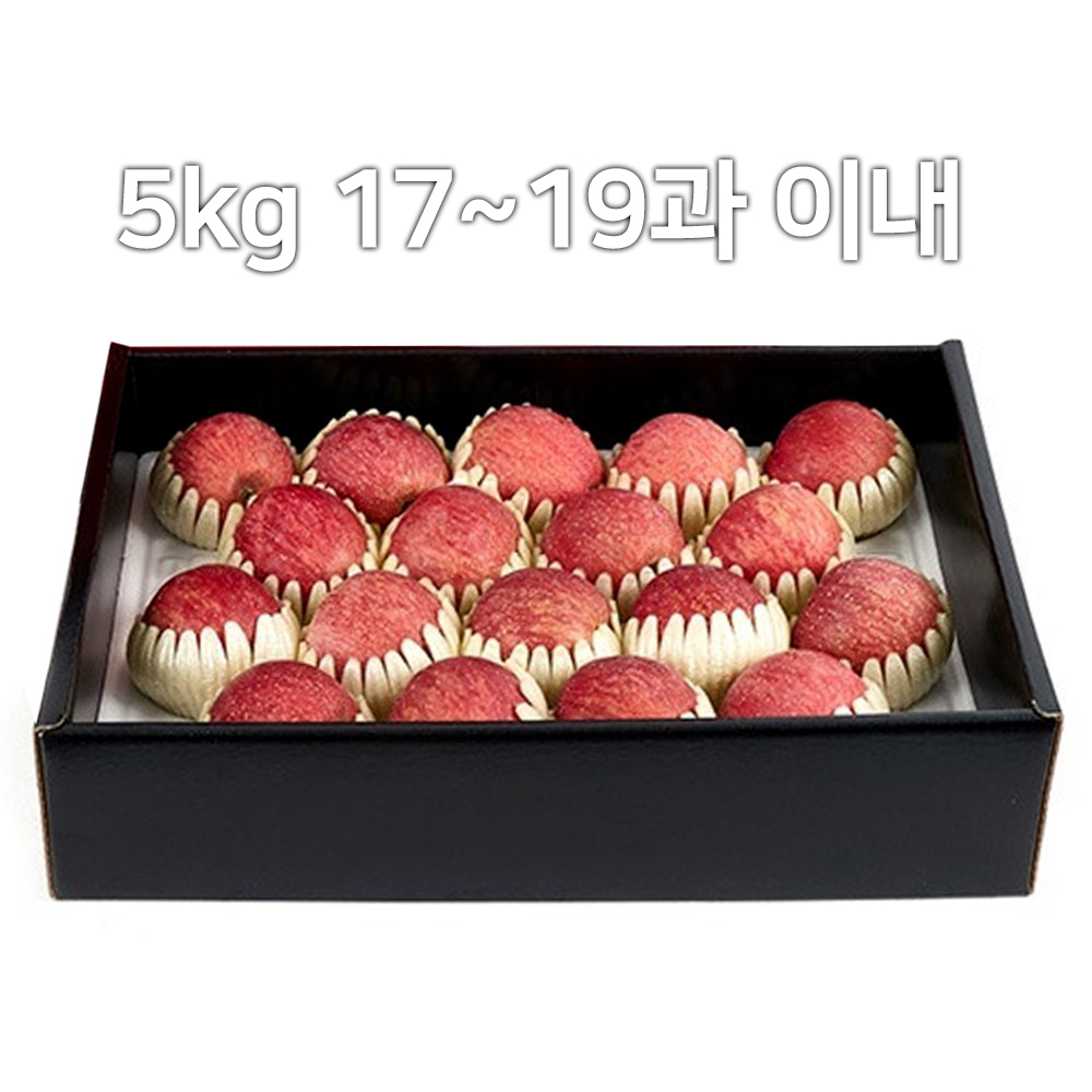 [A19-110] 비파괴선별 껍질째먹는 능금농협 문경사과 5kg 3호 17~19과 이내 GAP인증