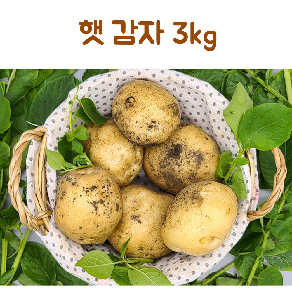 23년산 햇 감자 3kg(중)