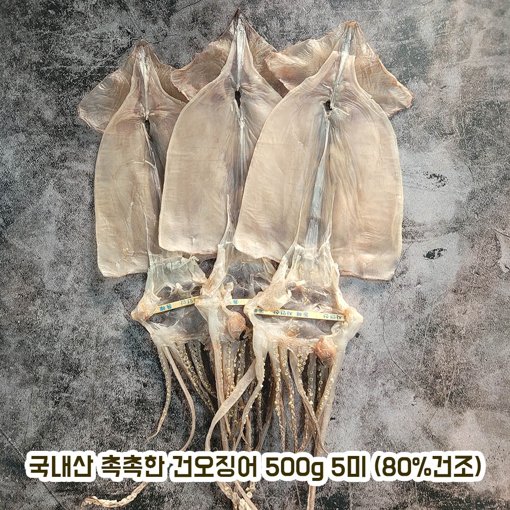 국내산 촉촉한 건오징어 500g 5미 (80%건조)