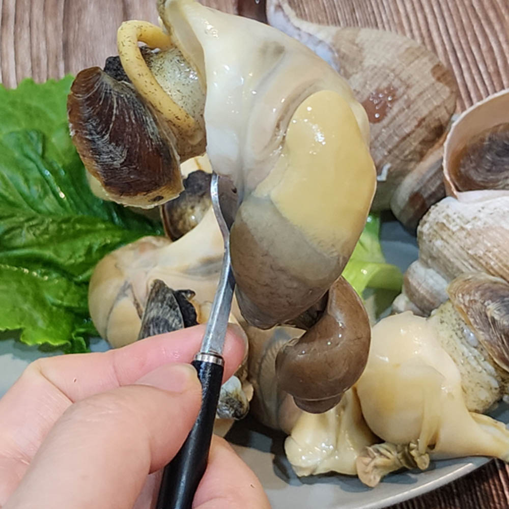 대나발 소라 1kg