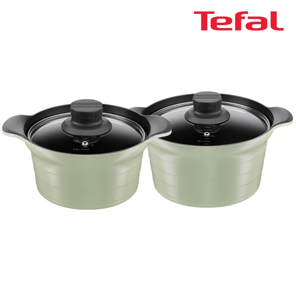 테팔 인덕션 티타늄 아로마 통주물 2종세트 (양수냄비 20cm + 24cm)