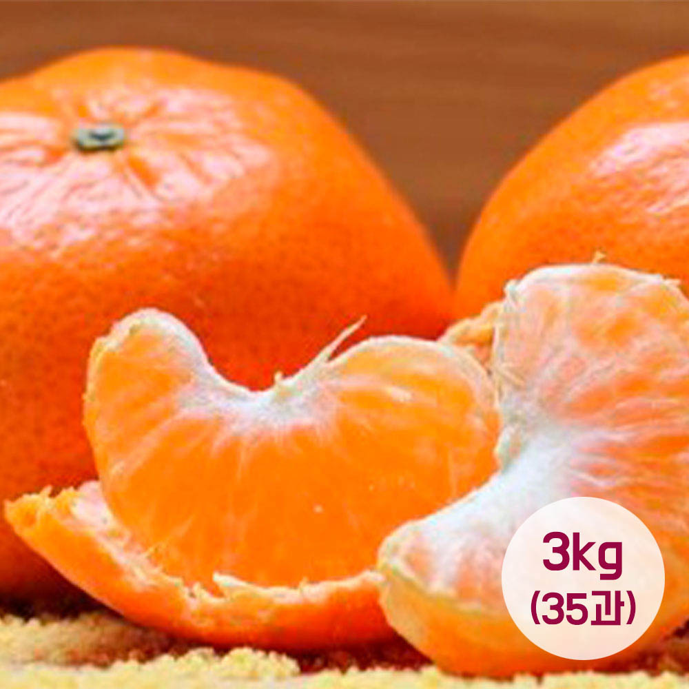 선별발송하는 제주 감귤 3kg(35-50과)